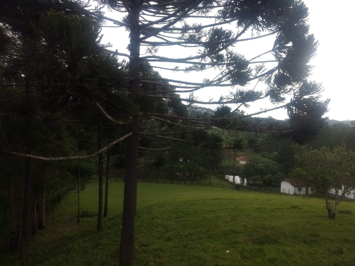 Natureza